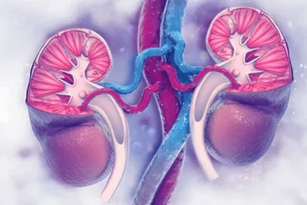 nephrology billing and coding
